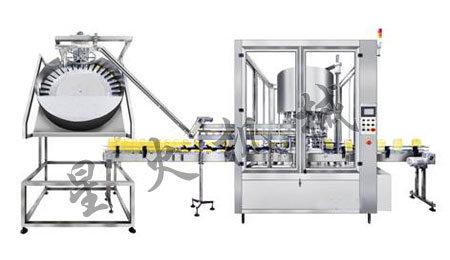 XG-10BG 泵蓋全自動旋蓋機(jī)